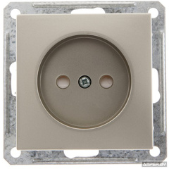Розетка 1-ая СУ б/з Schneider Шампань (под рамку)