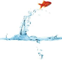 Шторка для ванной ткань (MZ-45) "Золотая рыбка"180*180мм