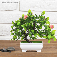 Бонсай "Деревце персики" 10*17,5 см