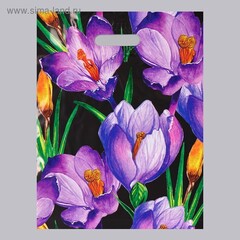 Пакет полиэтиленовый  31 х 40 см, 60 мкм