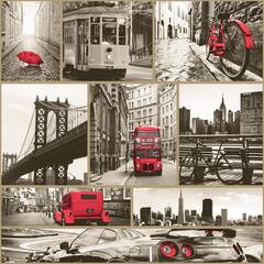 Обои Саратов 02 Д641 Экзотика  0.53х10м