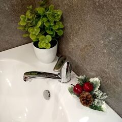 С-ль д/у INGROSSO 455-04-2