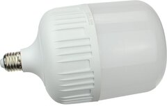 Лампа IN HOME 100вт Е27 с адаптером Е40 6500К