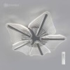 Люстра LED 60Вт c ПДУ  LORELEA