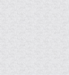 Обои Саратов Диор-М 06  0.53*10м