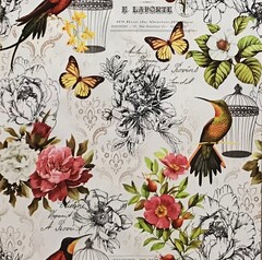 Обои Брянск Колибри-6 0.53х10м