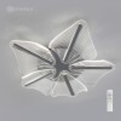 Люстра LED 60Вт c ПДУ  LORELEA