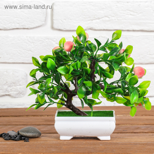 Бонсай "Деревце персики" 10*17,5 см