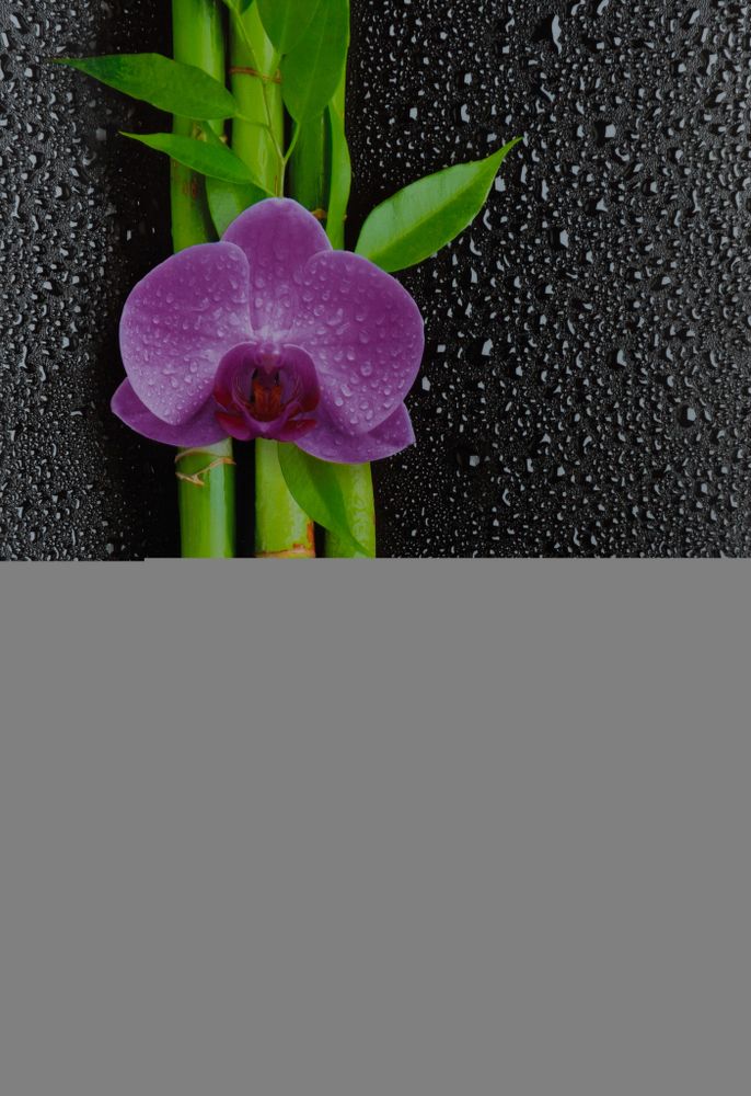 Панели ПВХ Орхидея. ПВХ Орхидея для ванны. Панели ПВХ бамбук орхидеи. Отделка панель ПВХ Орхидея розовая. Панель пвх орхидея