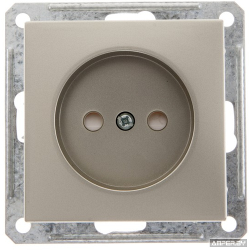 Розетка 1-ая СУ б/з Schneider Шампань (под рамку)