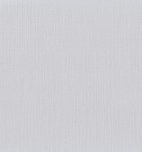 Обои Эрисманн 8021-02 ОМЕГA 1.06*10м