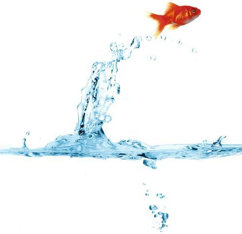 Шторка для ванной ткань (MZ-45) "Золотая рыбка"180*180мм