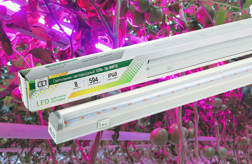 Светильник СПБ-Т8-ФИТО 14вт 1200мм ASD