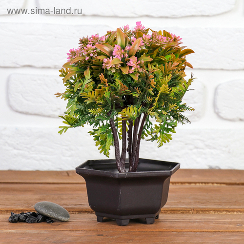 Бонсай "Блехнум с цветами" 11*20,5 см, микс
