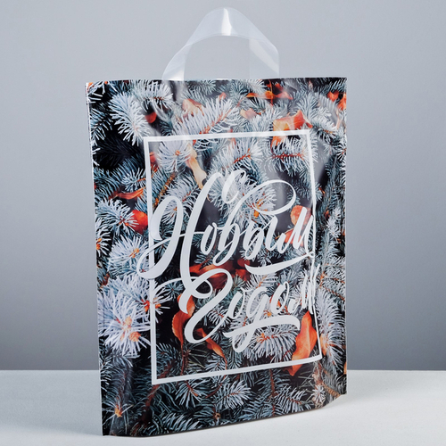 Пакет подарочный полиэтилен"Новогоднее фото" 35х30см с петлевой ручкой