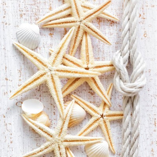 Панель ПВХ Морской бриз 0,25*2,7 Вывод