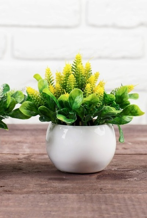 Бонсай в горшке "Пушистики с листвой" 10*14 см,